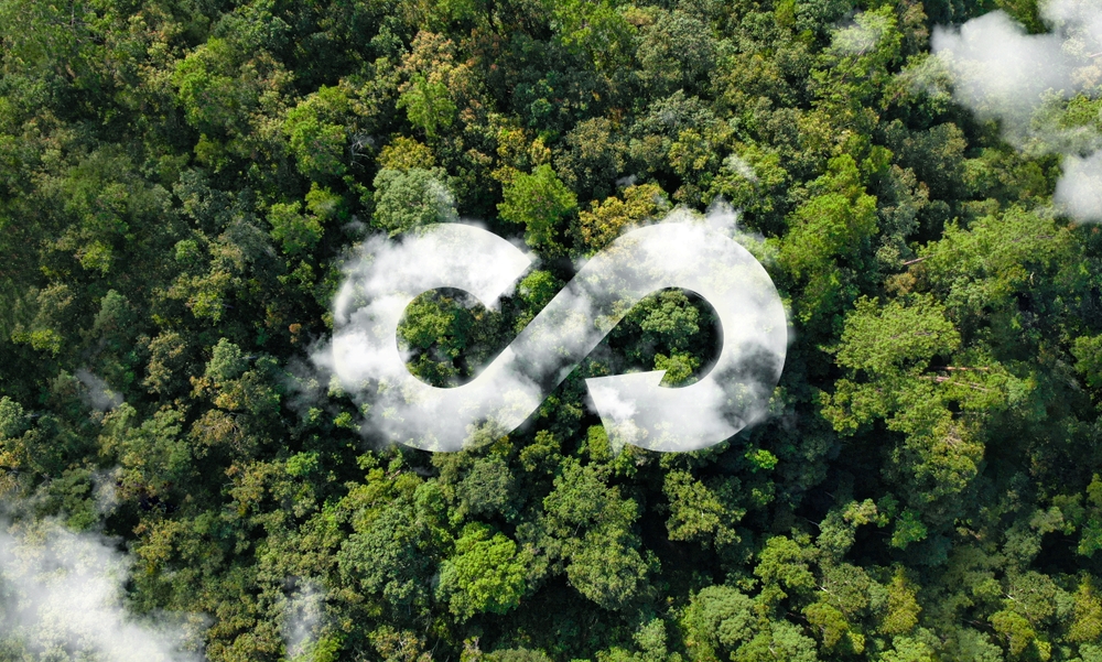 How Recycled Pallets Promote a Circular Economy